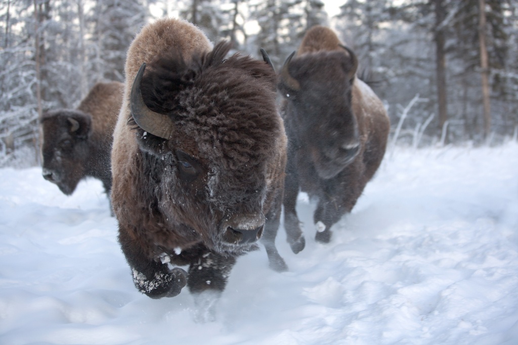 фото А.Журавлева стенд 3х2.jpg