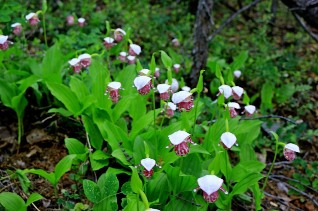 WhatsApp Image 2025-10-30 at 09.51.54.jpeg