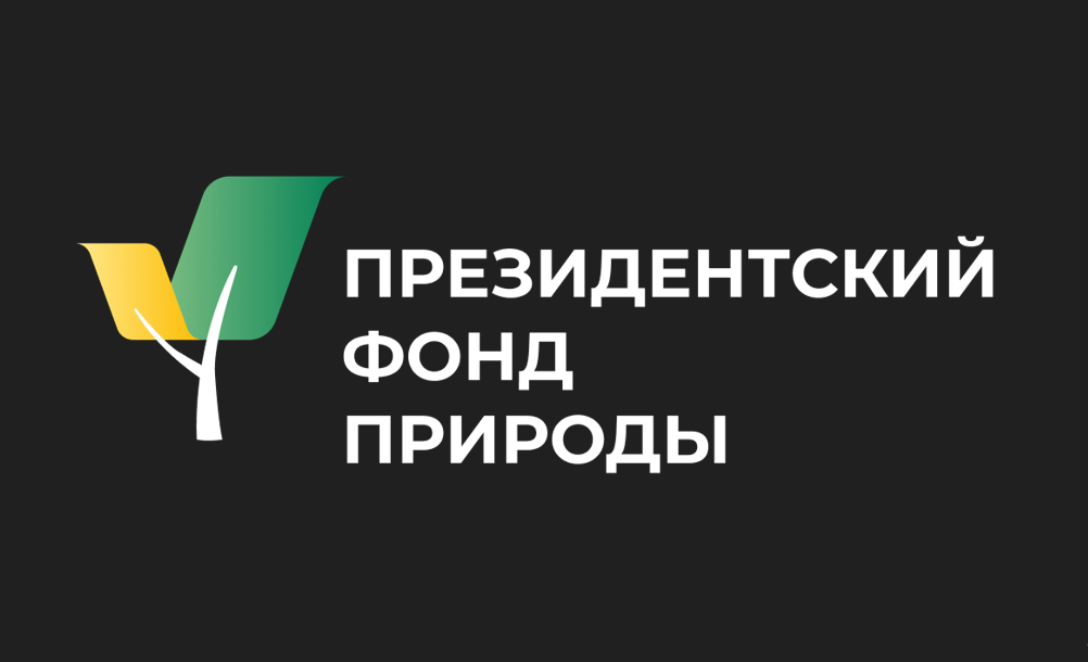 Логотип ПФП.PNG