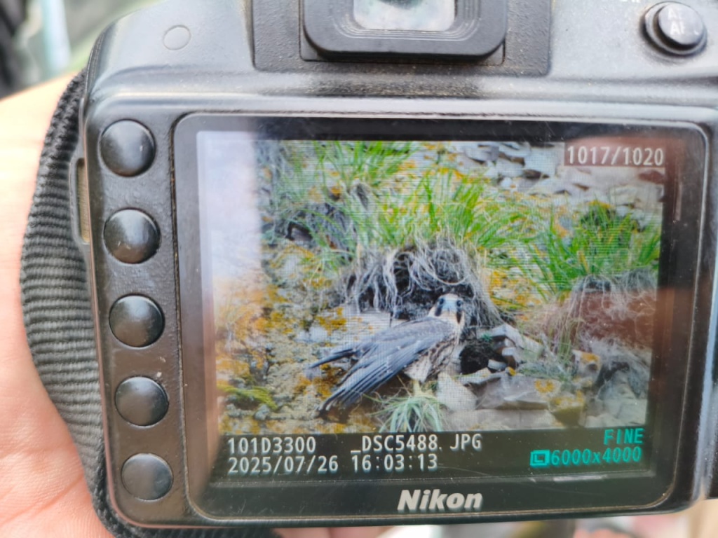 photo_5224560573369416546_y (1).jpg