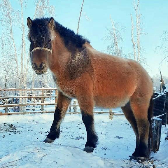 WhatsApp Image 2021-05-07 at 09.56.10.jpeg