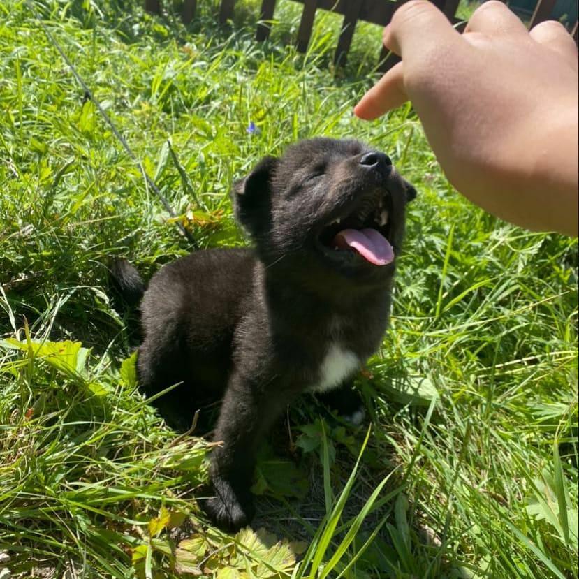 WhatsApp Image 2021-05-07 at 09.56.09 (1).jpeg