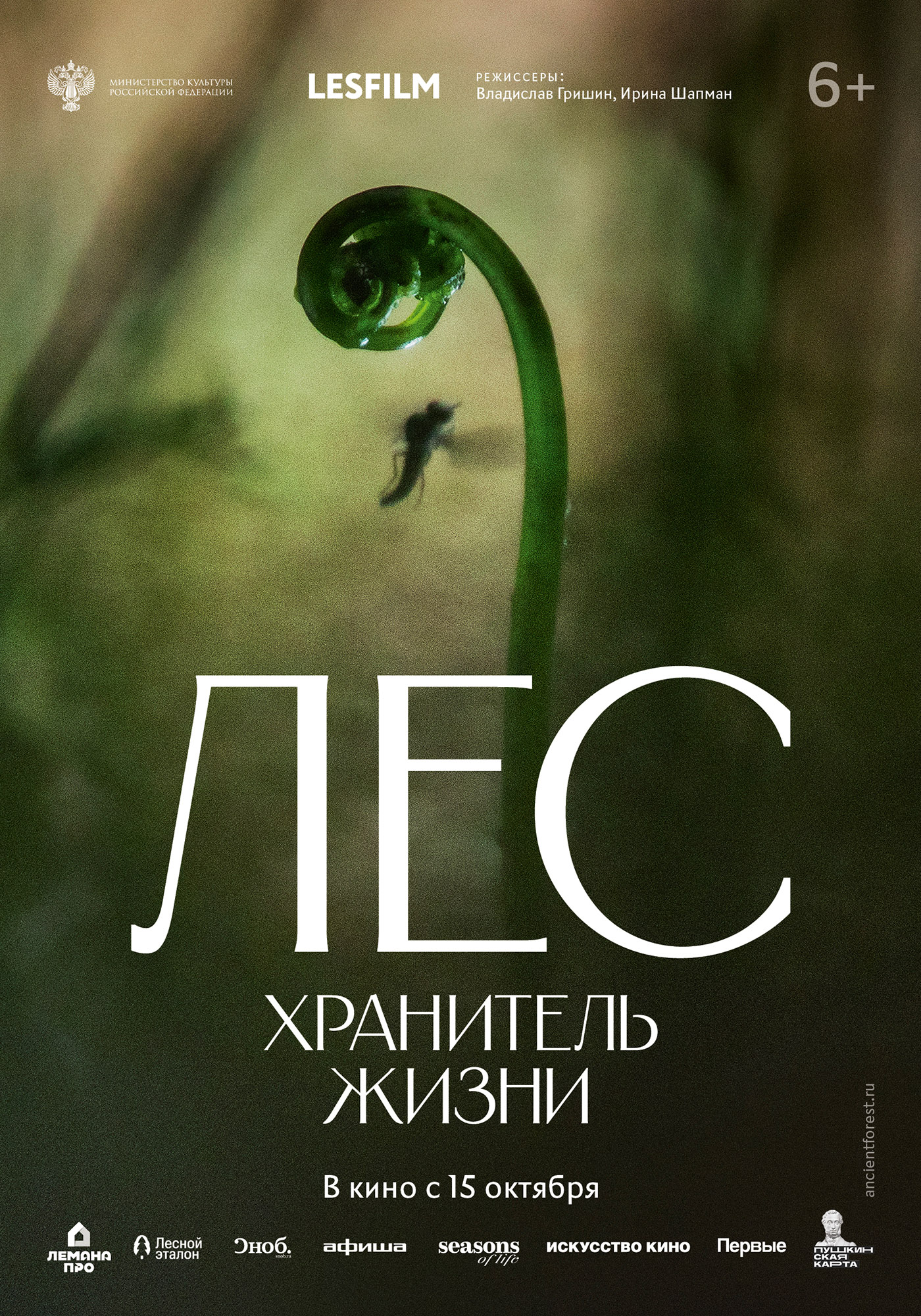На большие экраны выходит документальный фильм «Лес. Хранитель жизни» и «Мои медведи. Гималайцы»