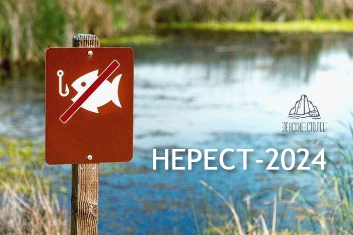 Нерестовый запрет на Буотаме-2024