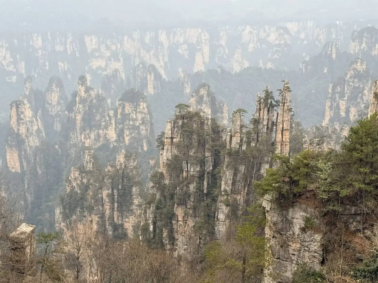 Ленские столбы и Гора Аватар: два чуда природы России и Китая договорились о сотрудничестве