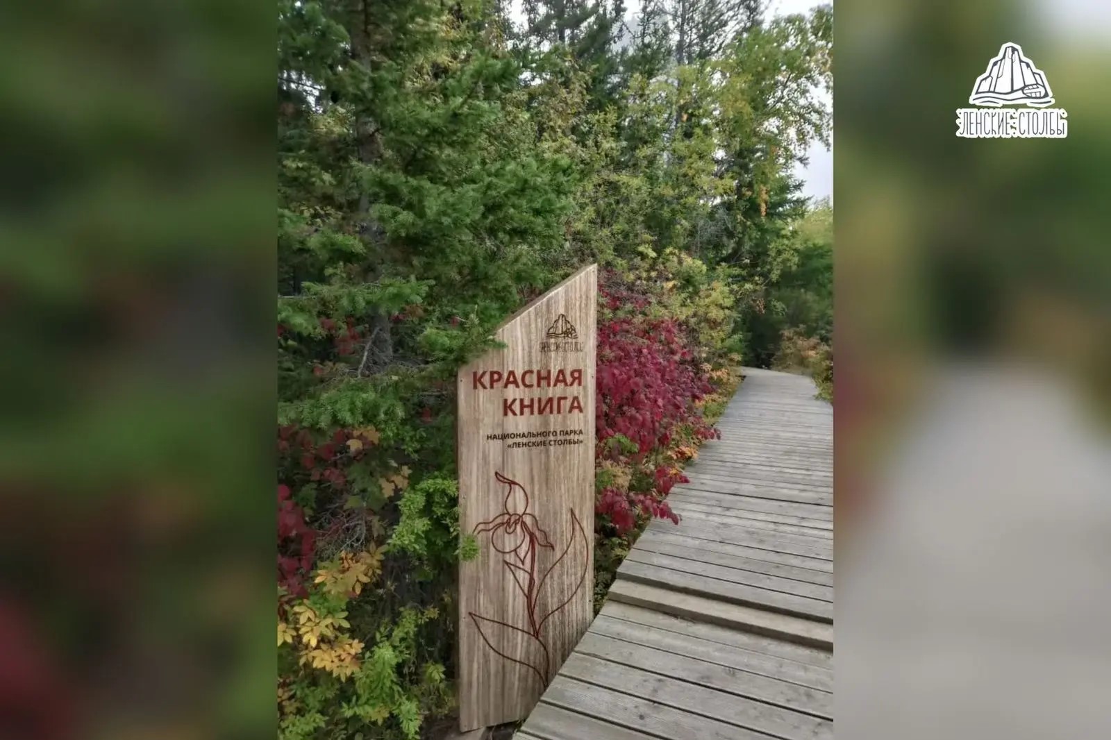У подножия Ленских столбов появится «Красная книга парка»