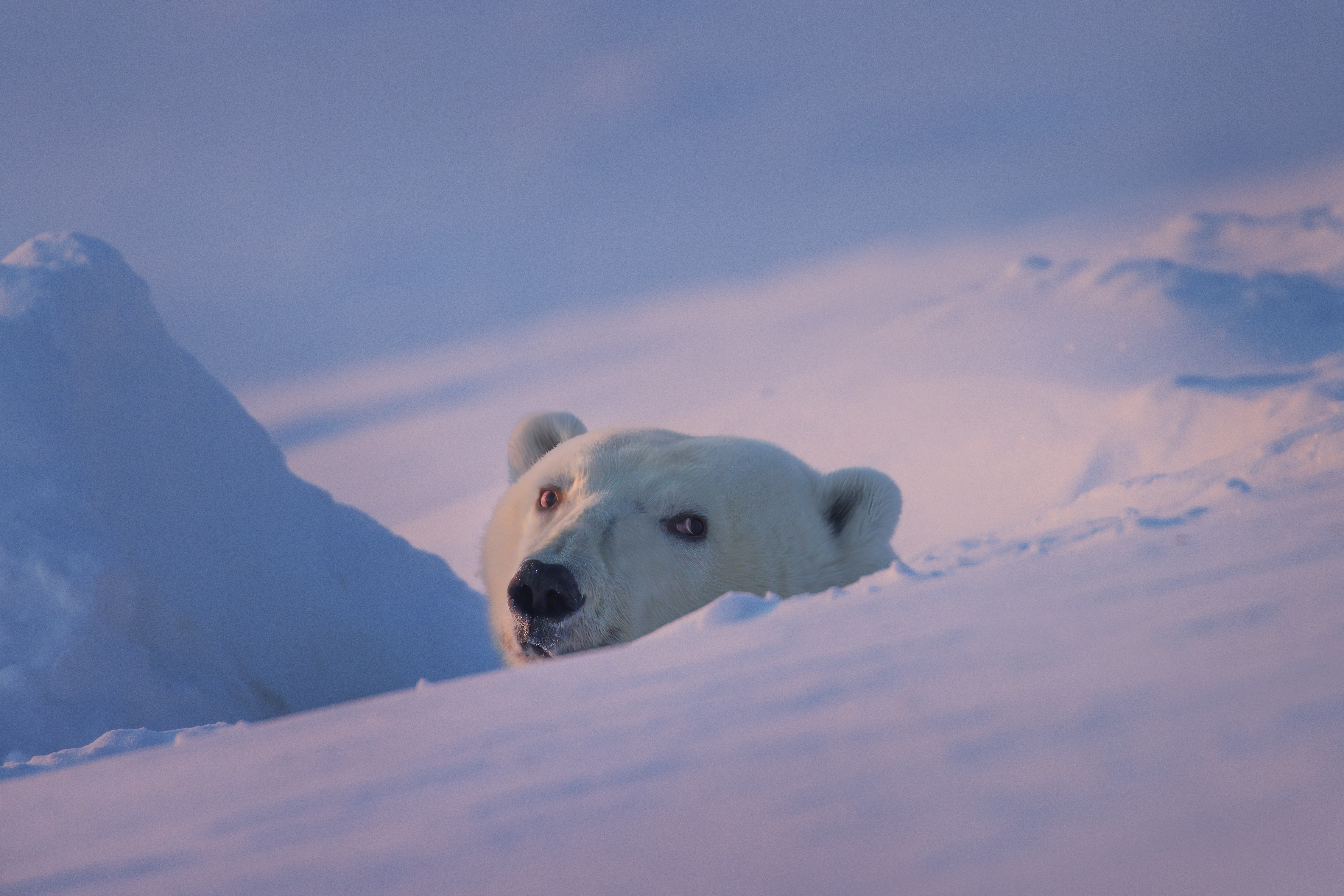 ГОСУДАРСТВЕННЫЙ ПРИРОДНЫЙ ЗАПОВЕДНИК "МЕДВЕЖЬИ ОСТРОВА"