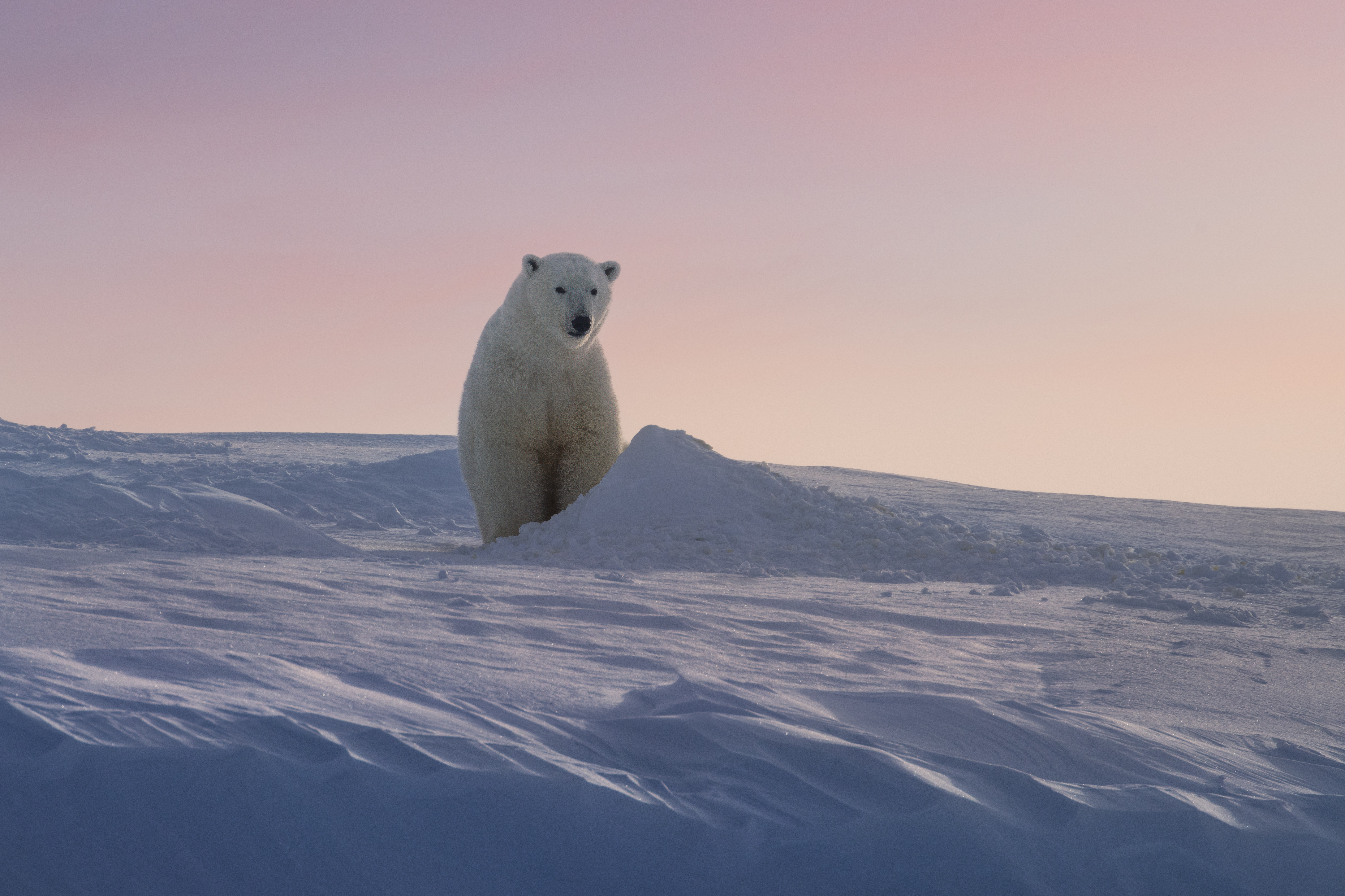 ГПЗ «Медвежьи острова»