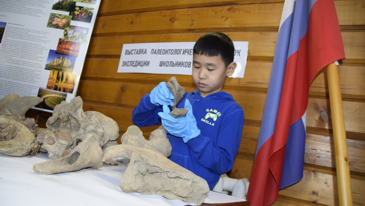 В визит-центре национального парка «Ленские столбы» презентовали уникальные останки ископаемых животных, найденные недавно в Хангаласском улусе