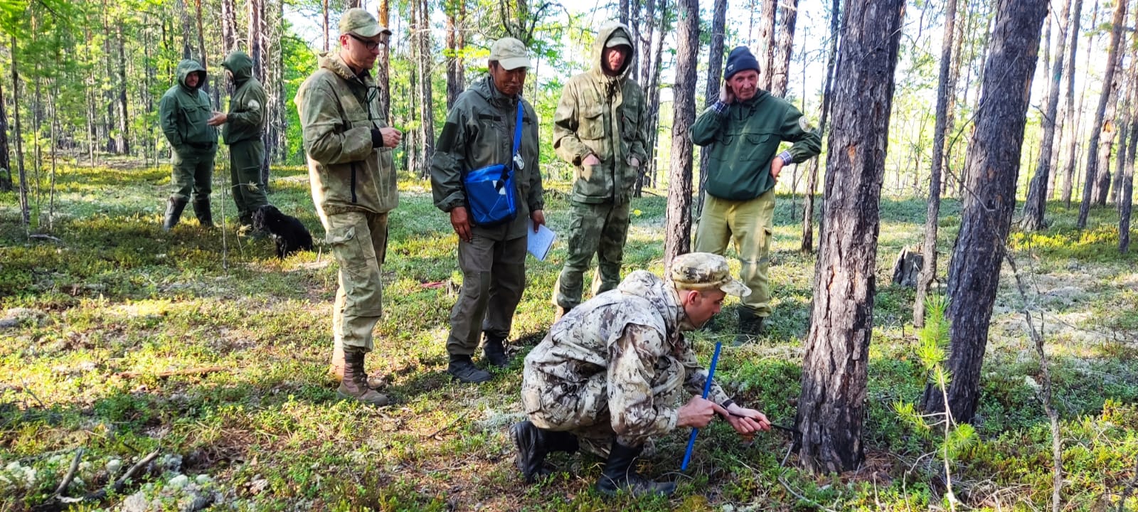В национальном парке «Ленские столбы» проходит коллективная тренировка по таксации леса