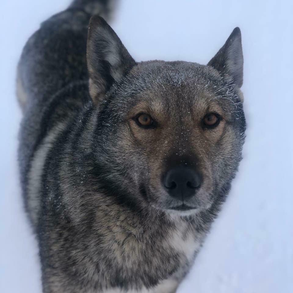 WhatsApp Image 2021-05-07 at 09.56.09.jpeg