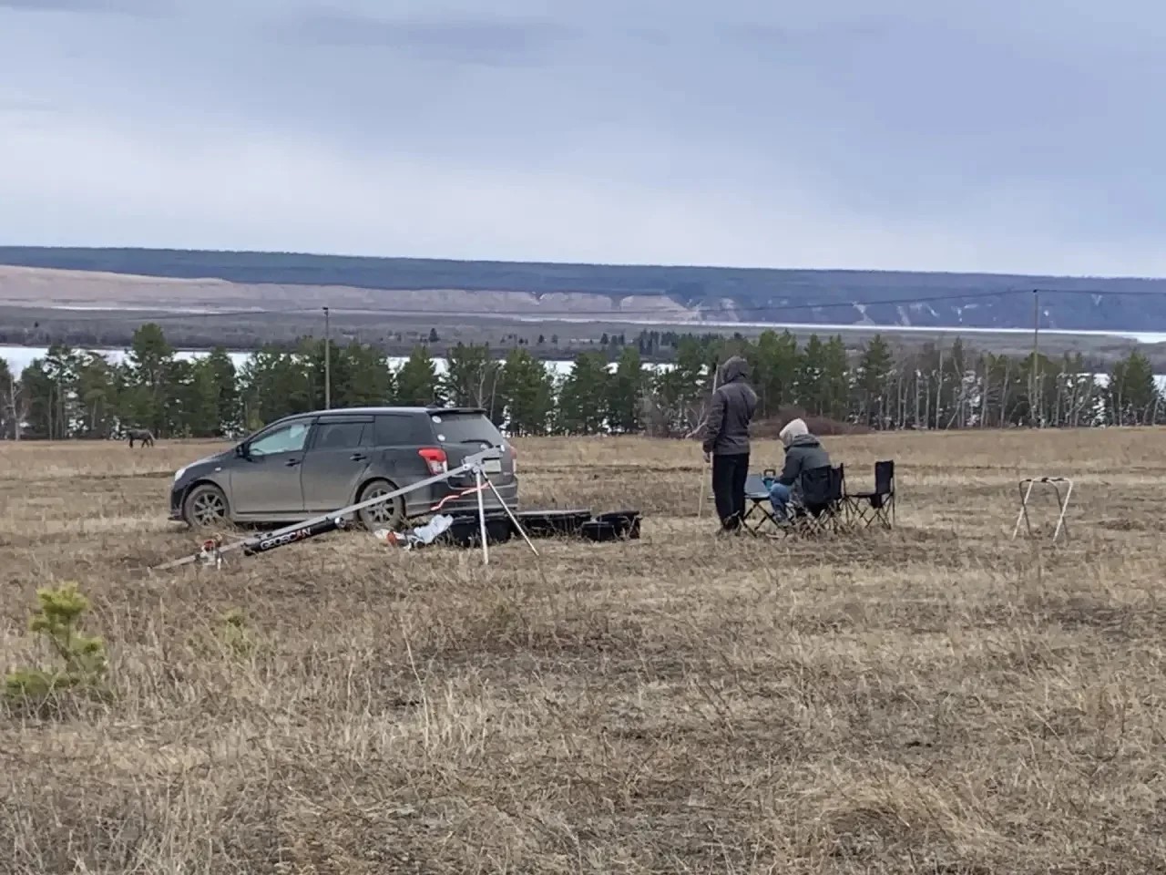 Старт авиамониторинга бурого медведя