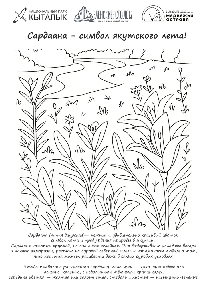 Сардаана - символ якутского лета.jpg