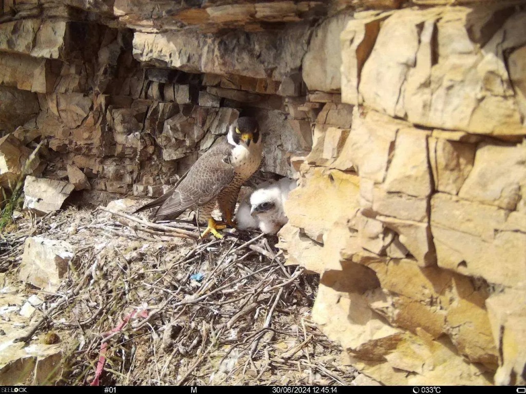 photo_5402291194869519579_y.jpg photo_5402291194869519579_y.jpg