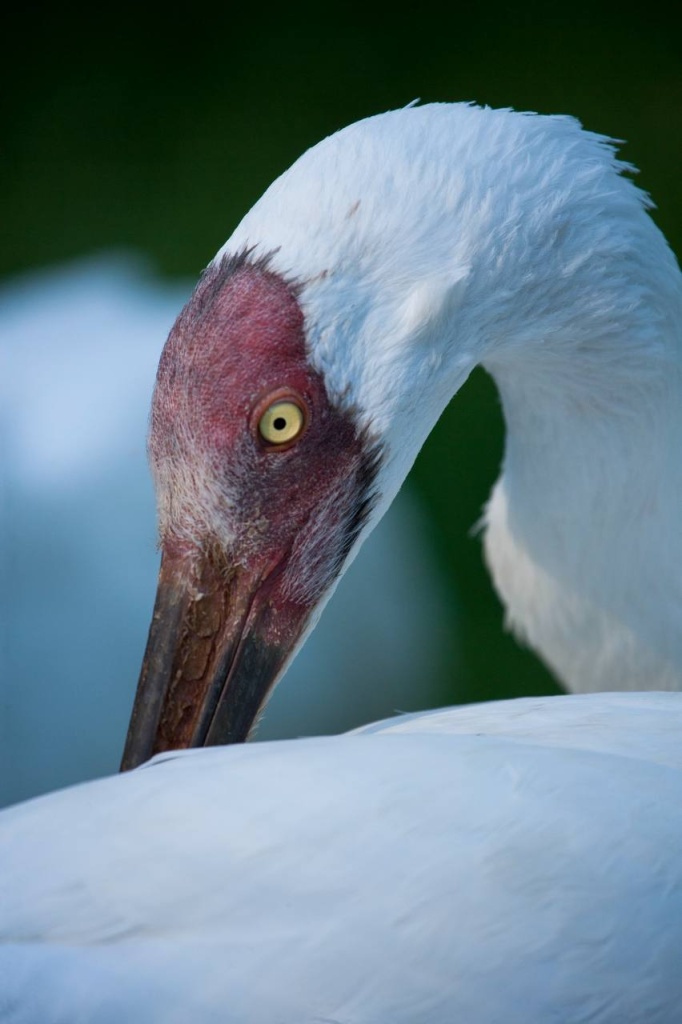 photo_5461080625609043818_y.jpg photo_5461080625609043818_y.jpg