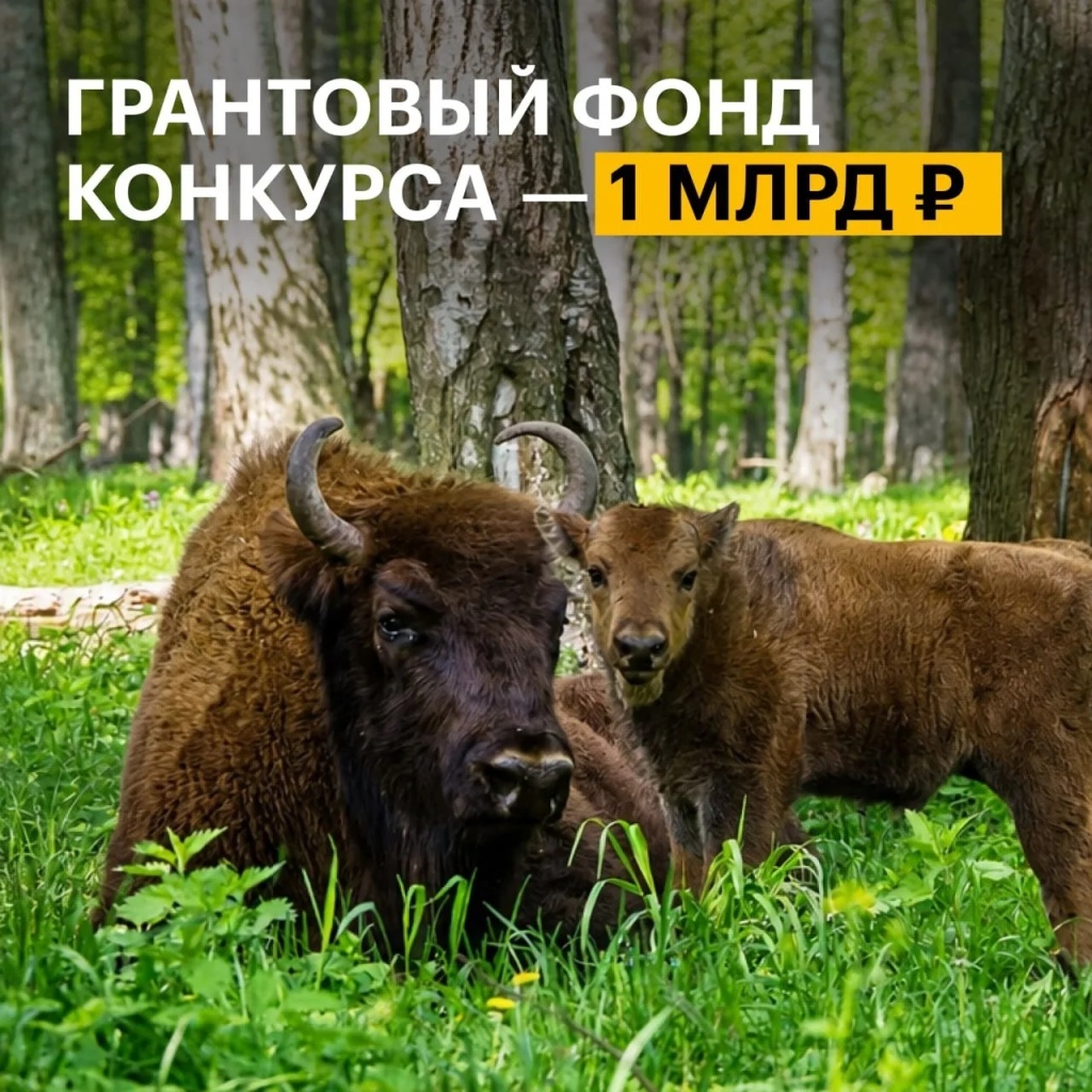 6.jpg 6.jpg