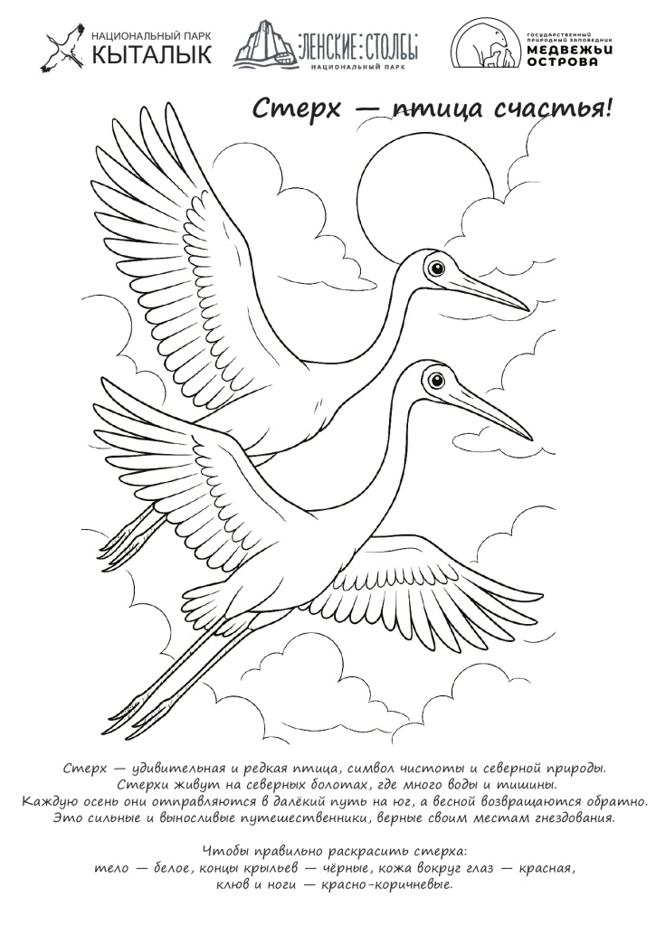 Стерх - птица счастья.jpg