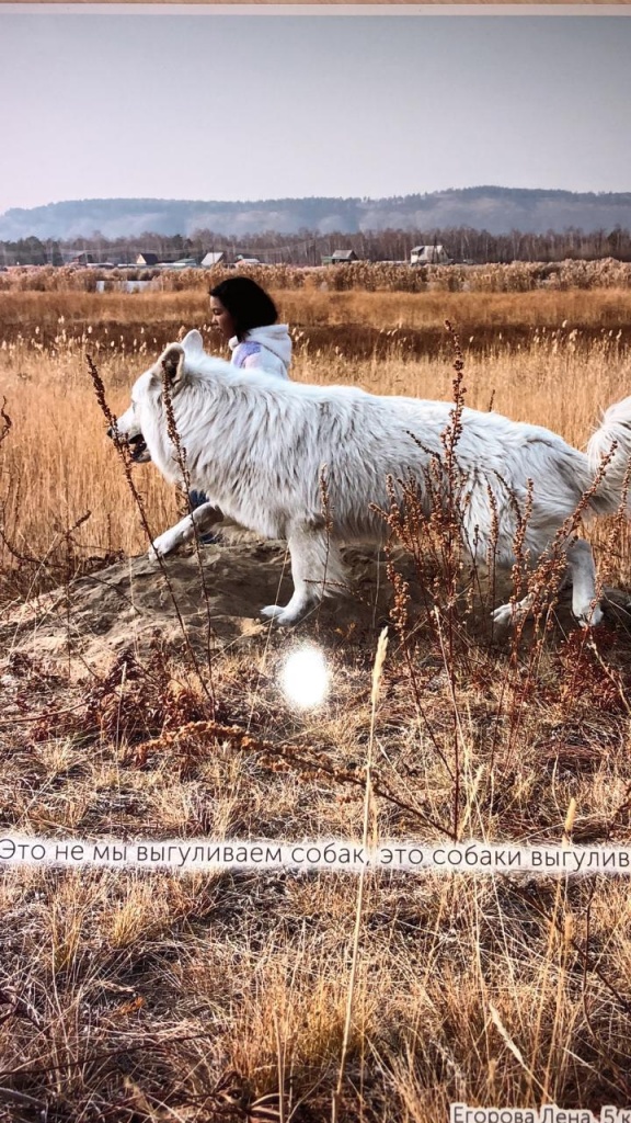 WhatsApp Image 2021-05-07 at 09.56.08.jpeg