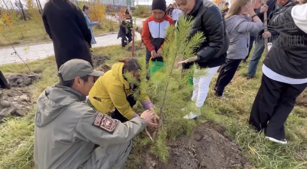 IMG_1816.jpg IMG_1816.jpg