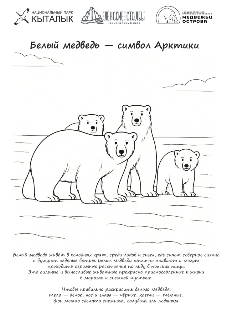 Белый медведь - символ Арктики.jpg