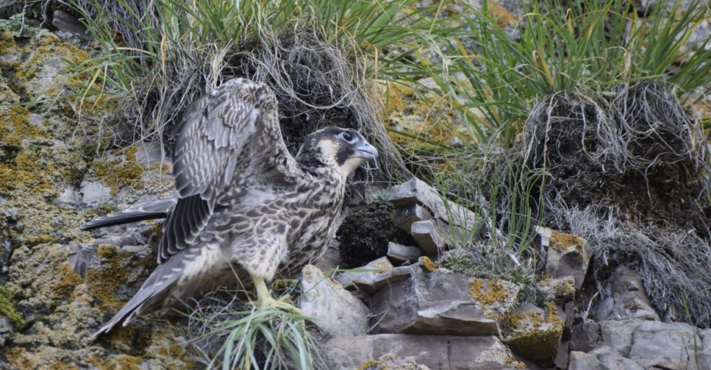 photo_5224560573369416547_y (1).jpg