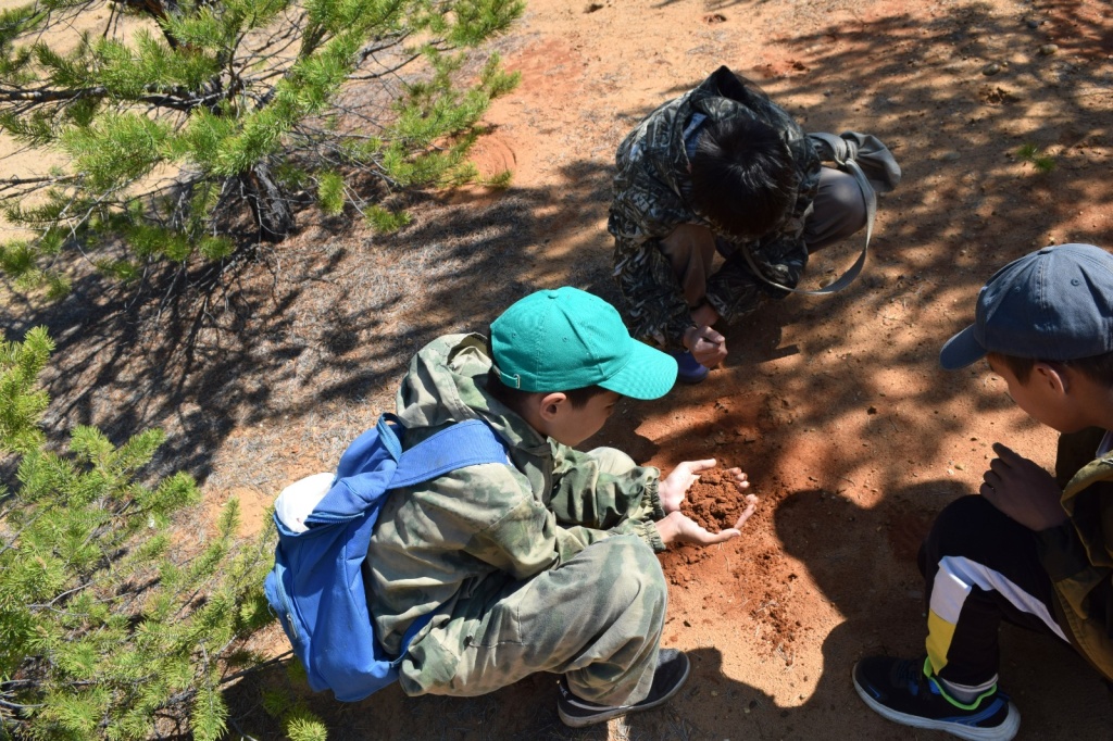 WhatsApp Image 2025-06-09 at 13.59.53.jpeg