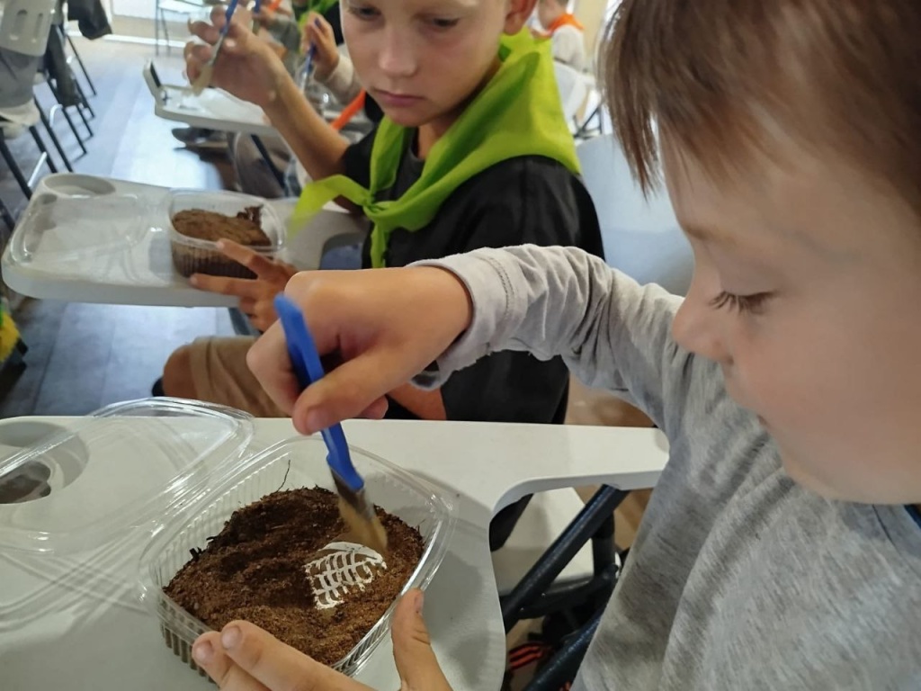 photo_5251453055826786254_y.jpg photo_5251453055826786254_y.jpg