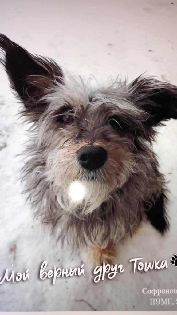 WhatsApp Image 2021-05-07 at 09.55.56.jpeg