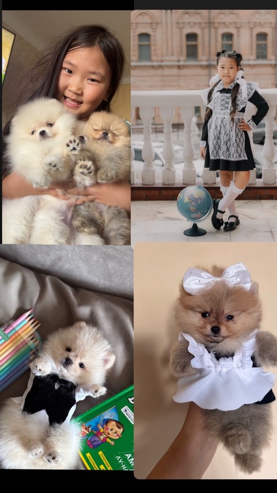 Сметанина Ангелина.jpg