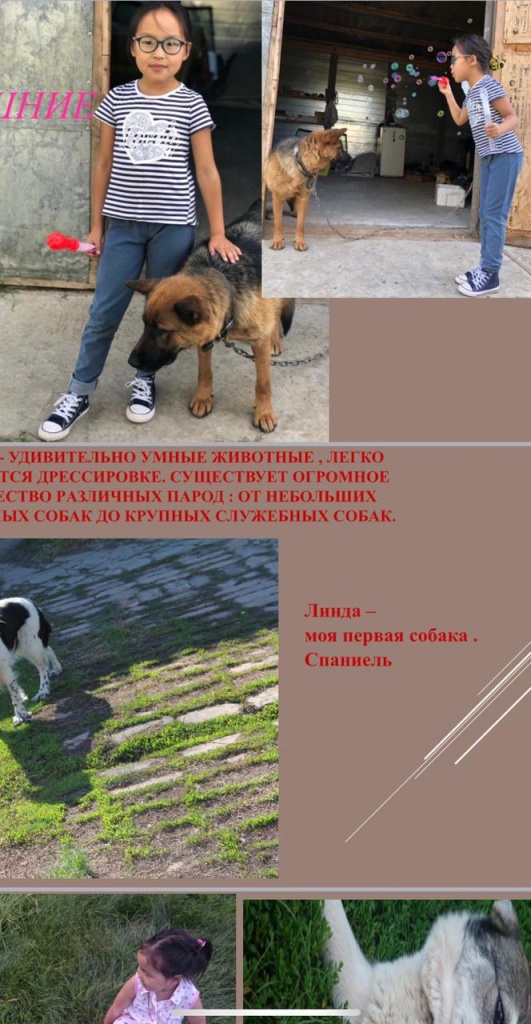 WhatsApp Image 2021-05-07 at 09.56.08 (2).jpeg