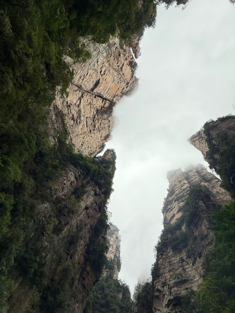 WhatsApp Image 2025-10-23 at 05.39.43 (1).jpeg