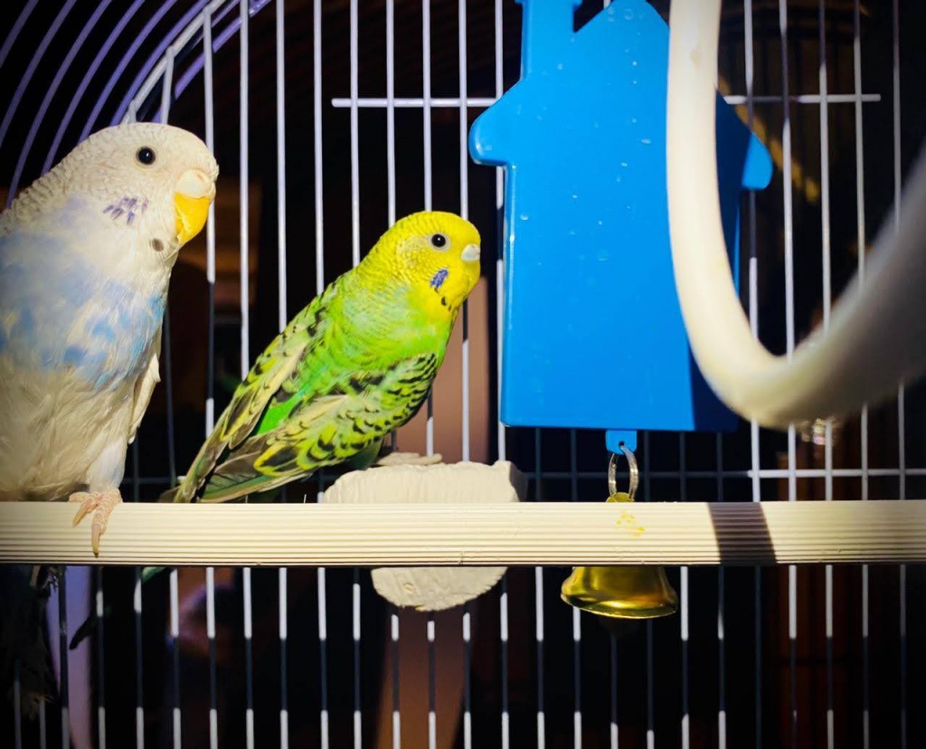 WhatsApp Image 2021-05-07 at 09.56.09 (2).jpeg