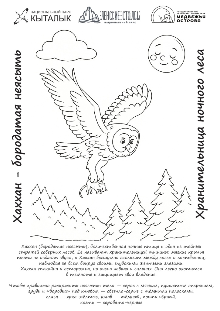 Хранительница ночного леса.jpg