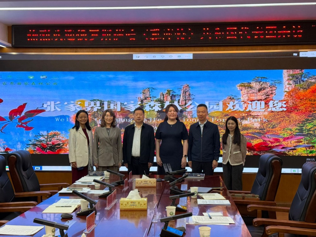 WhatsApp Image 2025-10-23 at 05.39.44 (1).jpeg