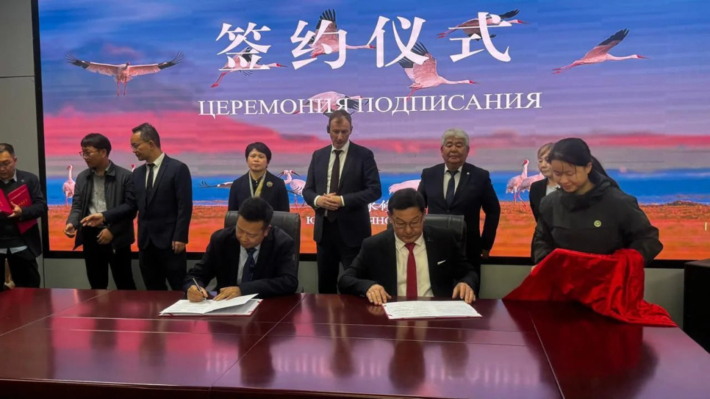 Россия и Китай объединяют усилия в деле сохранения стерха: между заповедными территориями двух стран подписан меморандум о сотрудничестве