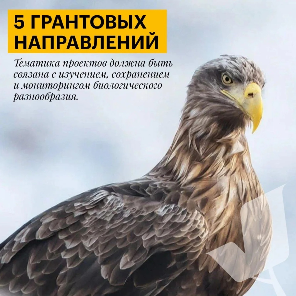 4.jpg 4.jpg