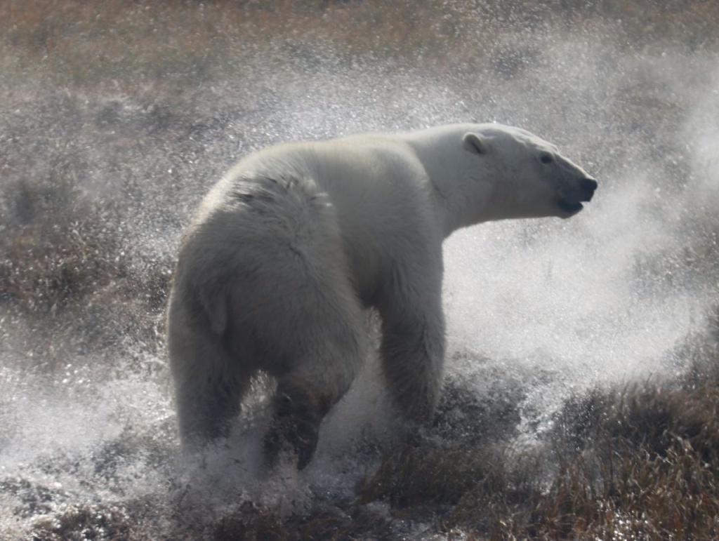 photo_5350531706463056931_y.jpg photo_5350531706463056931_y.jpg